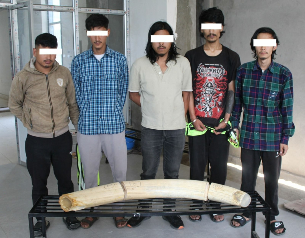 Elephant tusk found while searching for drug dealer, suspected to have been stolen during Gen-G movement