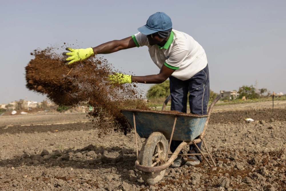 Interest in natural farming is growing after the Iran war