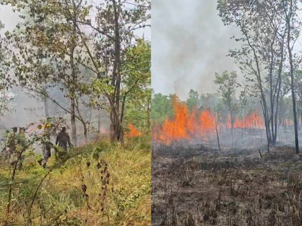 Fire at Lumbini Development Fund premises extinguished