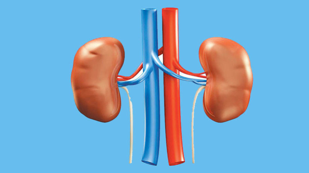 Nepali scenario of kidney failure