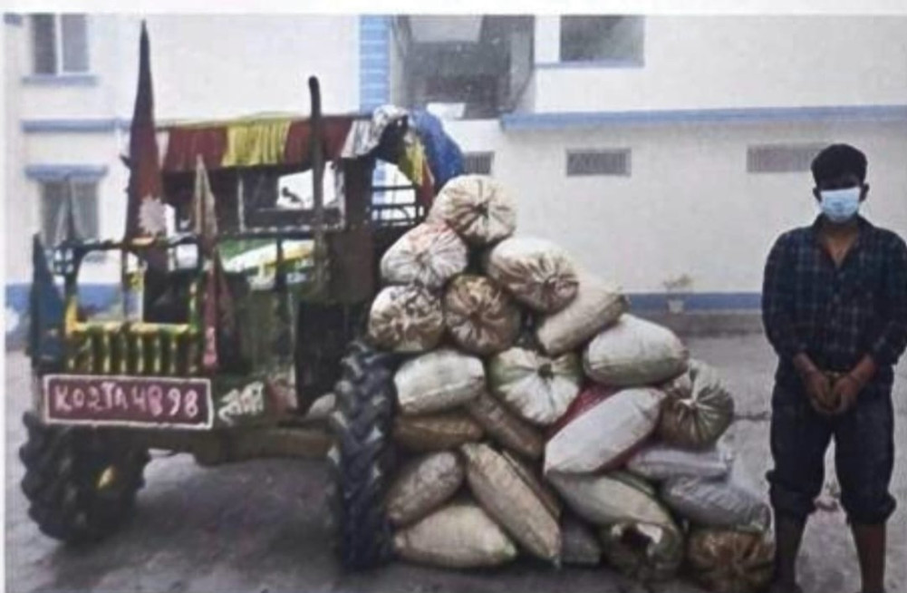 Over 175 kg of marijuana seized from Legua, Dhankuta
