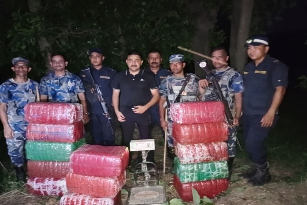 140 kilos of marijuana seized from mango orchard