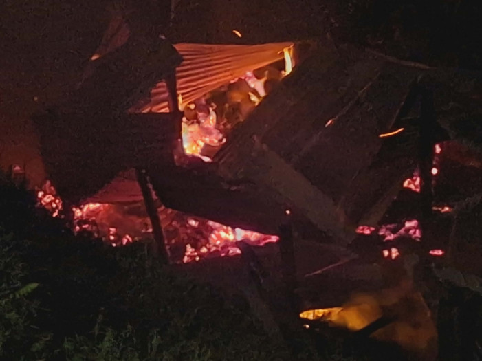 A cowshed was set on fire when a mosquito-repellent lamp caught fire.