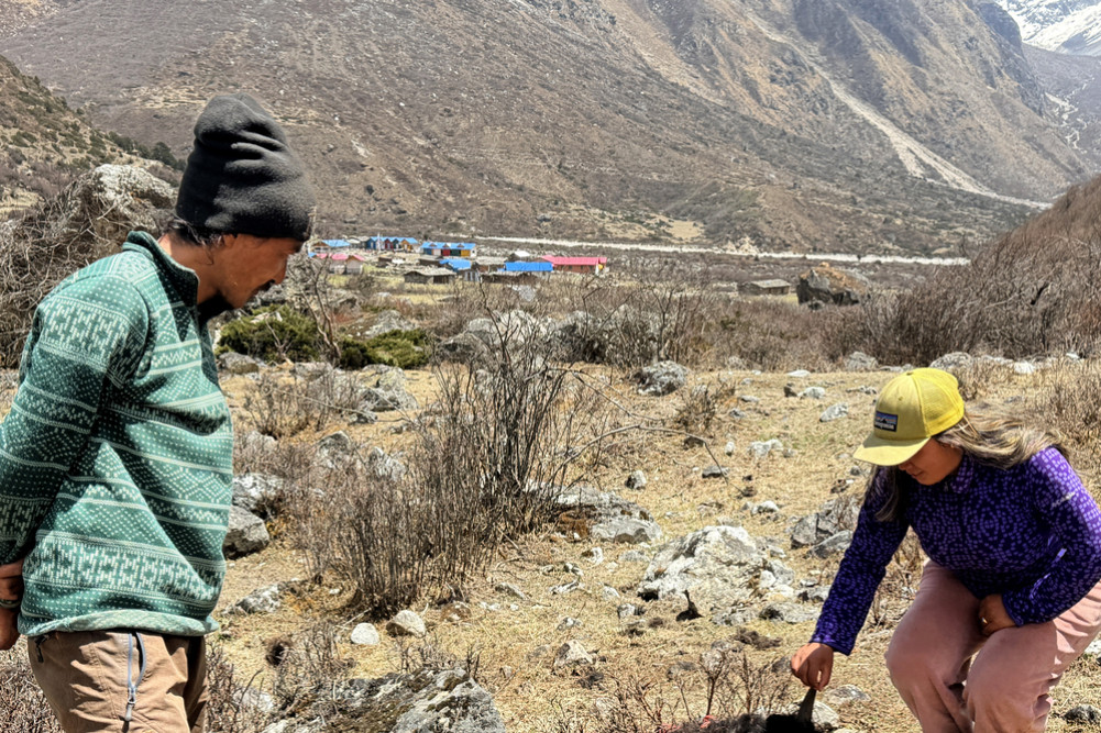 Residents of Khambachen panic after snow leopard enters settlement
