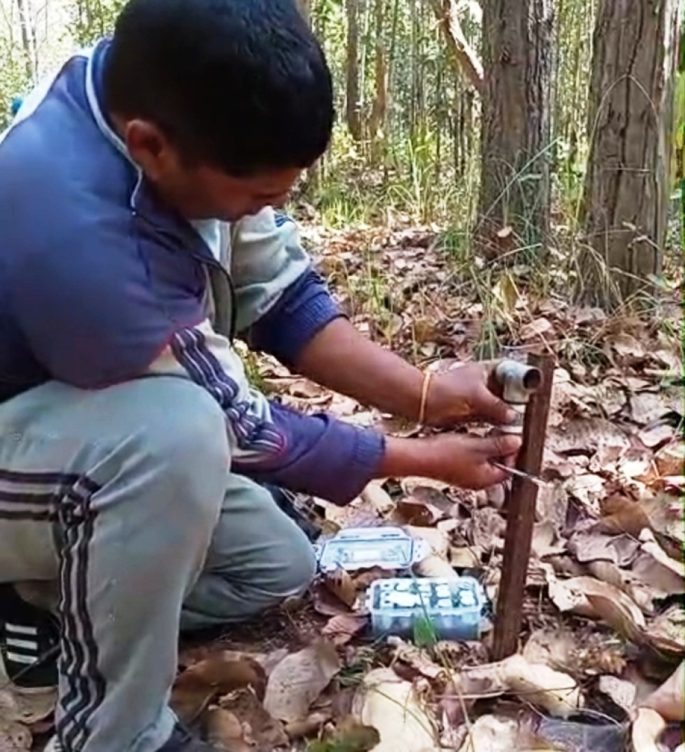 Chemicals tested to deter leopards and tigers in settlements