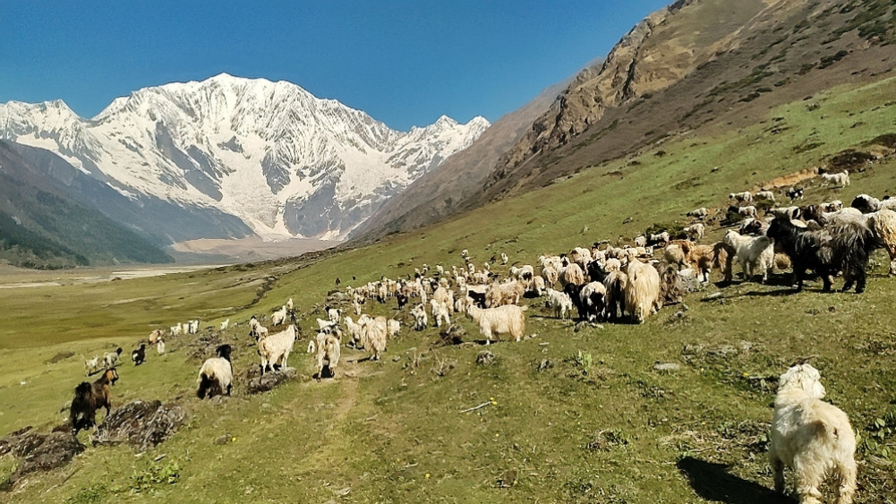 Ranisain incident: Border dispute or a bid to stop the security presence?