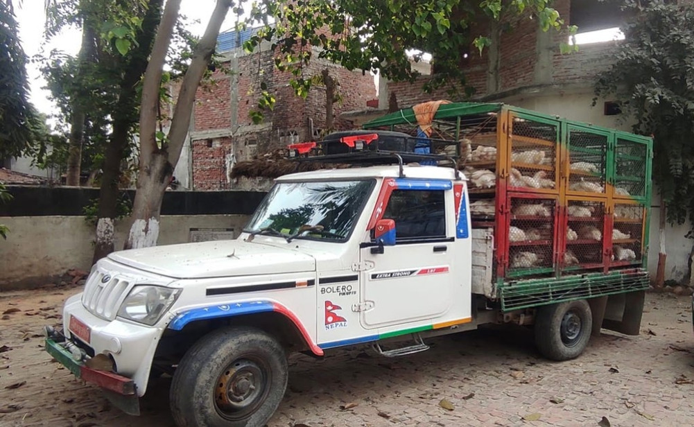 Jeep and driver with chickens brought from India taken into custody