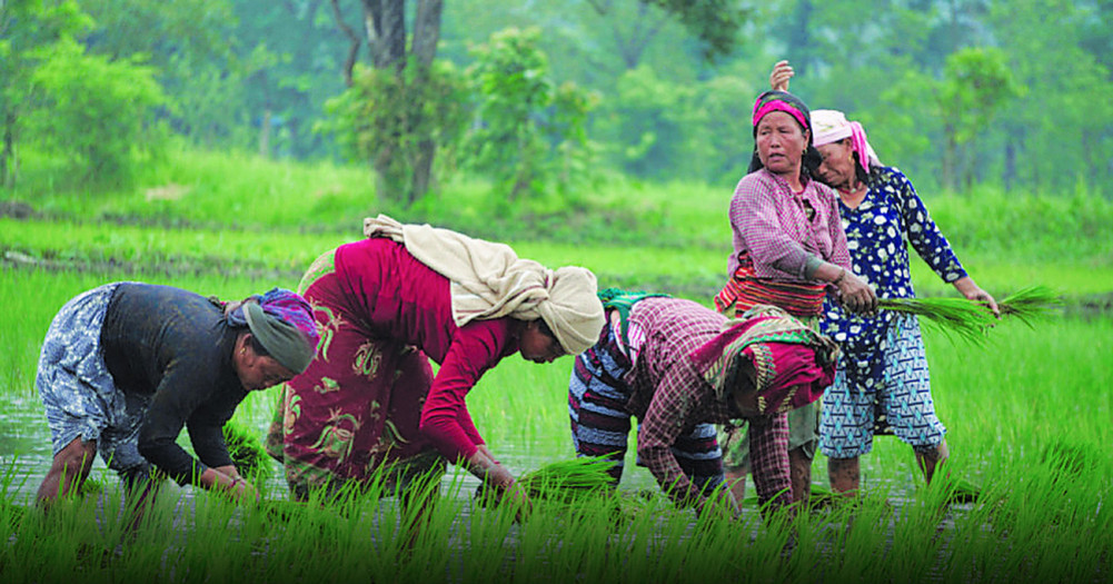Agricultural development initiatives for prosperity