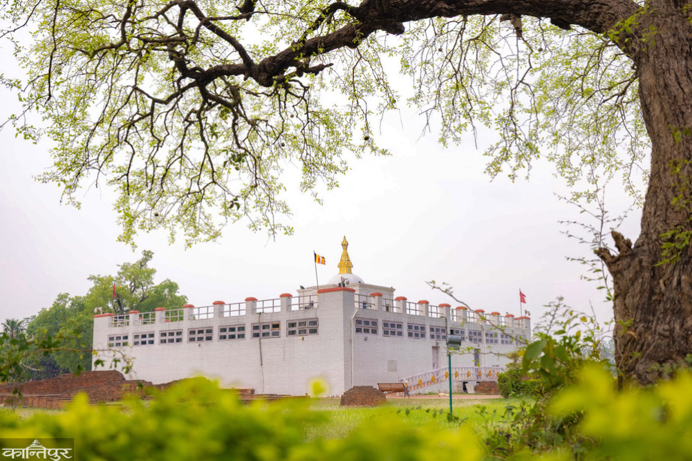 700 applications for 12 office bearers of Lumbini Development Fund