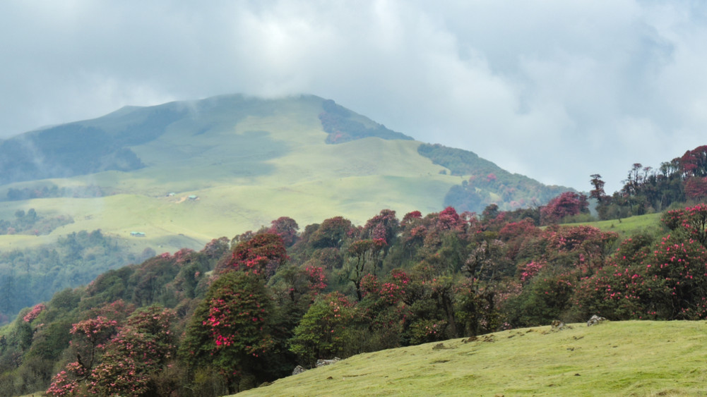 Mundum Trail: From Chakhewa to the top of Mayung