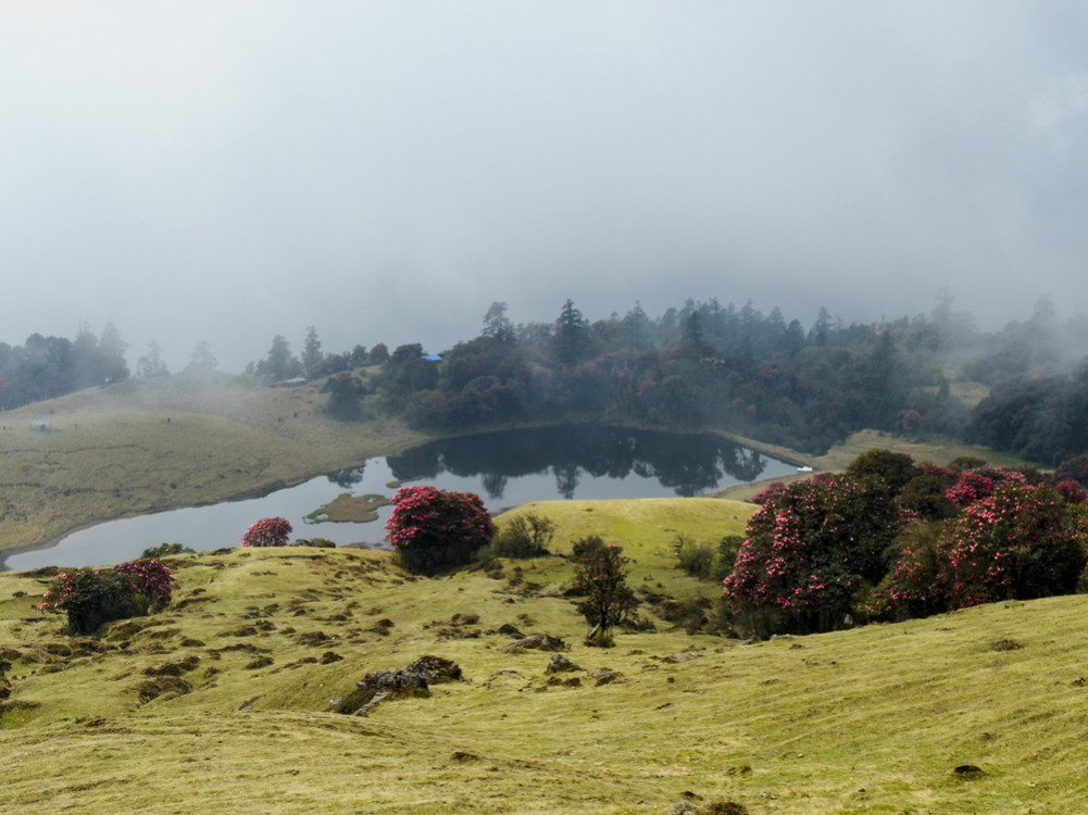 Mundum Trail: From Chakhewa to the top of Mayung