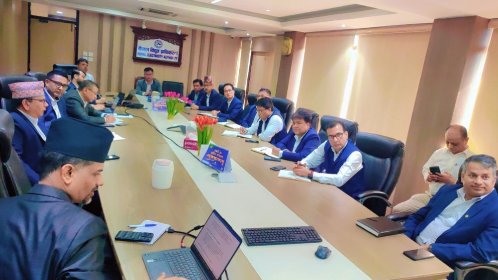 Nepal Electricity Authority's 'Digital Infrastructure Company' in operation