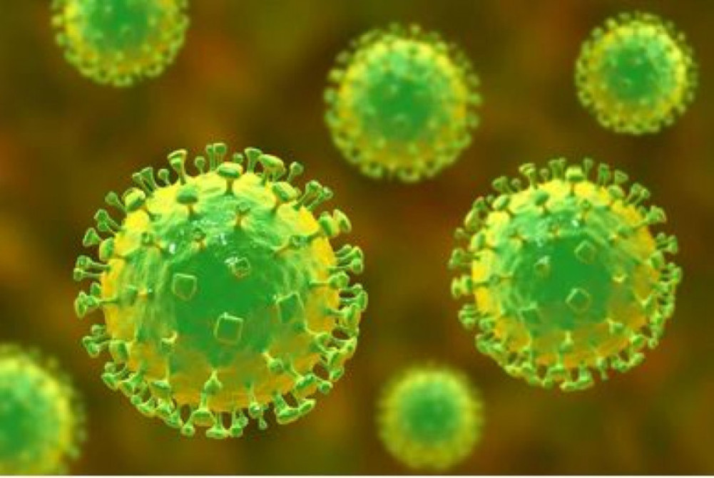 Government instructs hospitals to 'report if symptoms of Nipah virus are seen in patients'