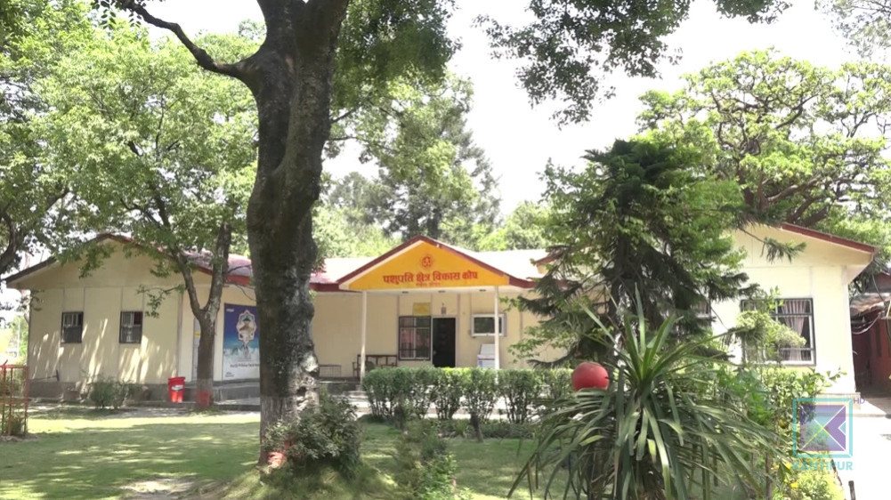 The post of Executive Director will no longer exist in the Pashupati Area Development Fund.