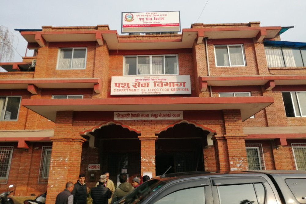 Technical team mobilized to prevent spread of bird flu infection in the Valley