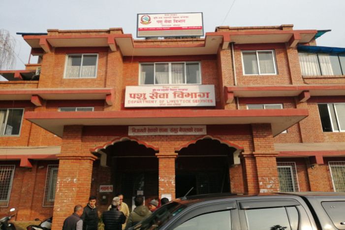 Bird flu spread in Kathmandu due to crows: Animal Services Department