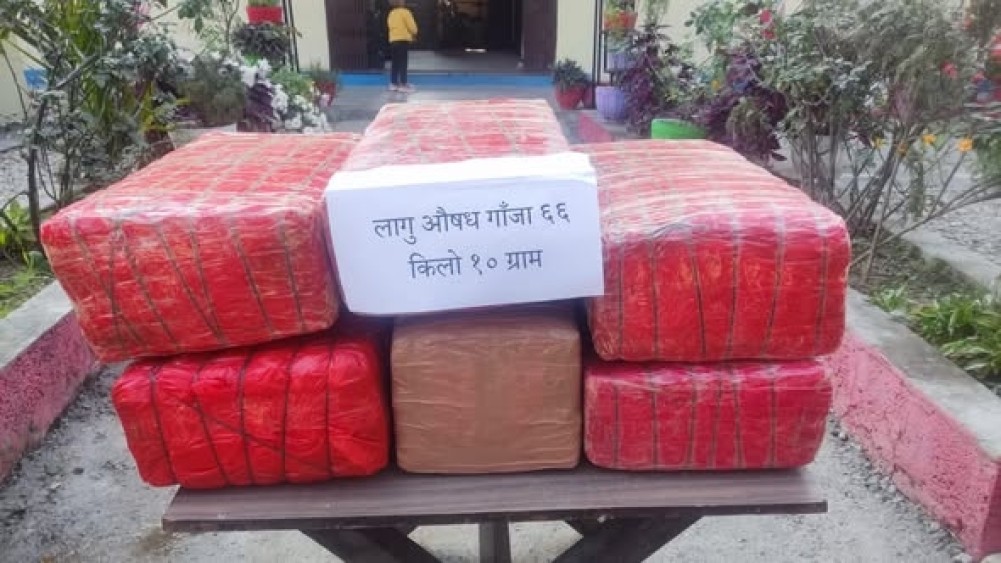 Three arrested with 66 kg of marijuana