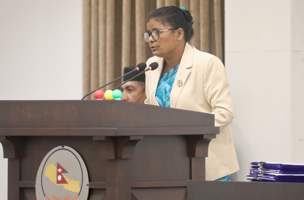 Finance Bill 2083: MPs' attention drawn to capital expenditure and tax rates