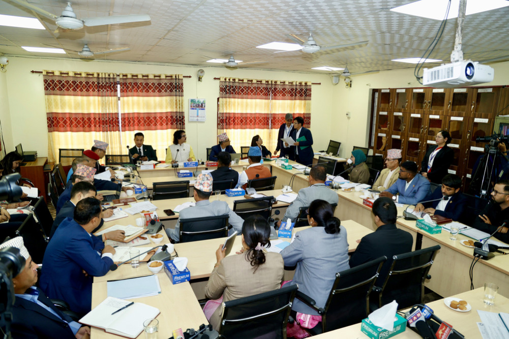 Various subcommittees formed by the State Affairs Committee