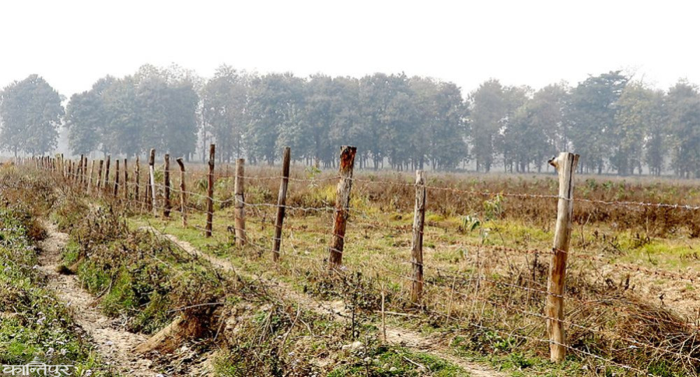 Sagarnath Forest Jurisdiction Dispute: Constitutional Bench clears way for all seven provinces to have forest management rights