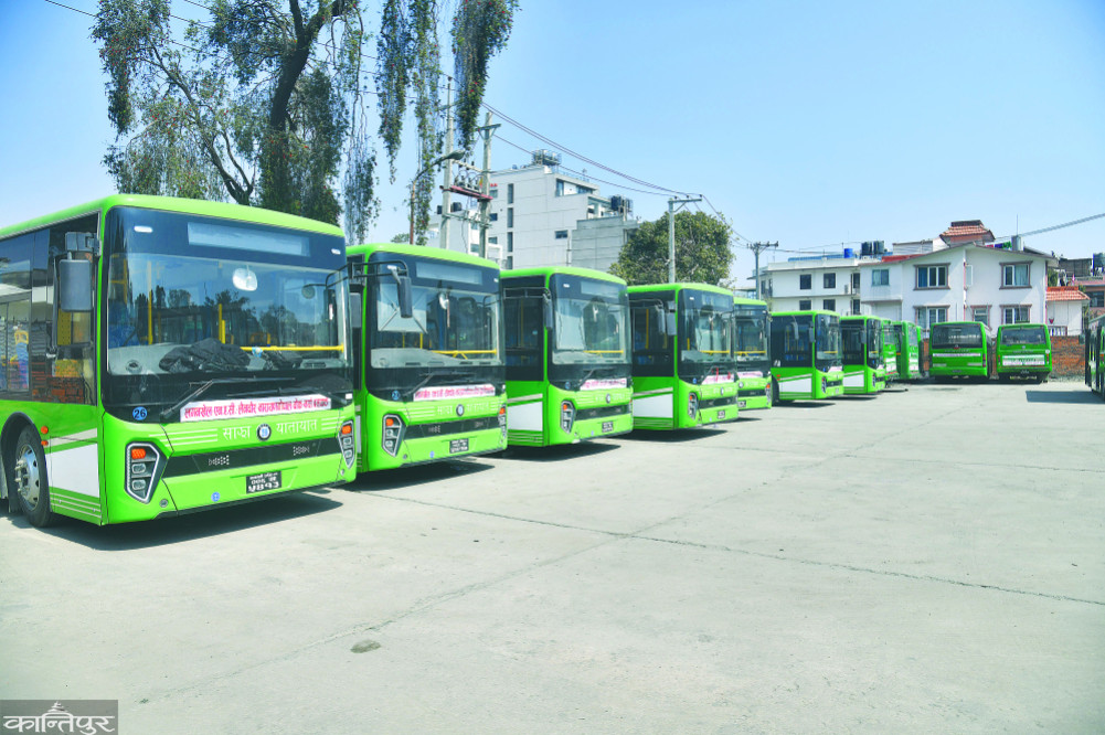 ‘Blue Bus’ for Women: Popular Slogan or Sustainable Solution?