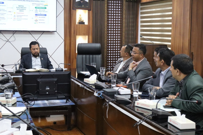 Private sector participation necessary in electricity trade: Energy Minister Shrestha