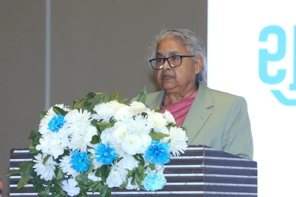Non-governmental organizations should work according to Nepal's national priorities: Prime Minister Karki