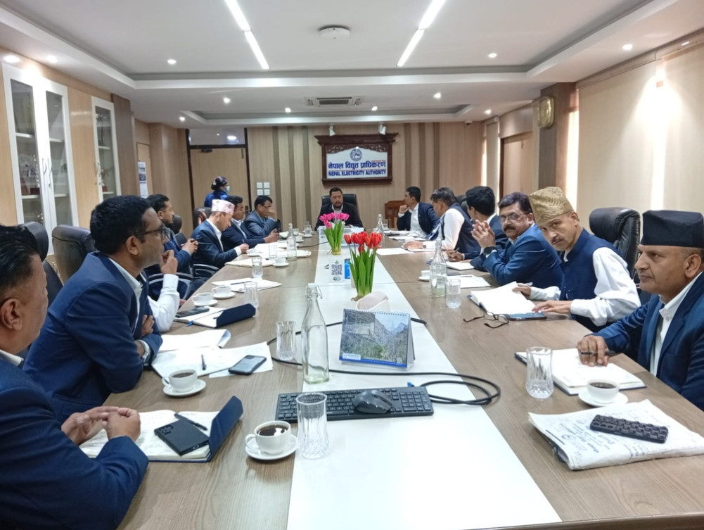 Energy Minister Shrestha directs NEA to formulate a clear action plan for budget implementation